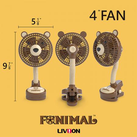 Size of the Bear Fan